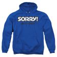 SORRY : NOT SORRY ADULT PULL OVER HOODIE Royal Blue 2X Cheap